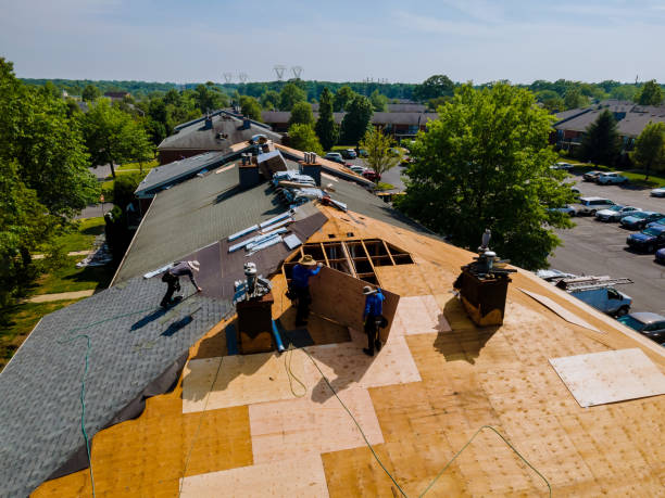 Best Metal Roofing Contractor  in Brooklet, GA