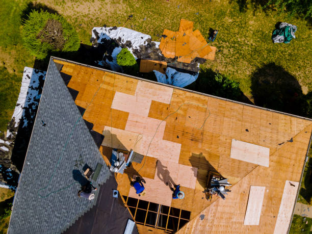 Roof Gutter Cleaning in Brooklet, GA